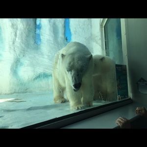 Meet your Posher, Terry